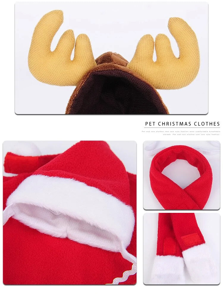 FestiveFur Hats