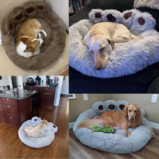 Cozy Snuggle Bed