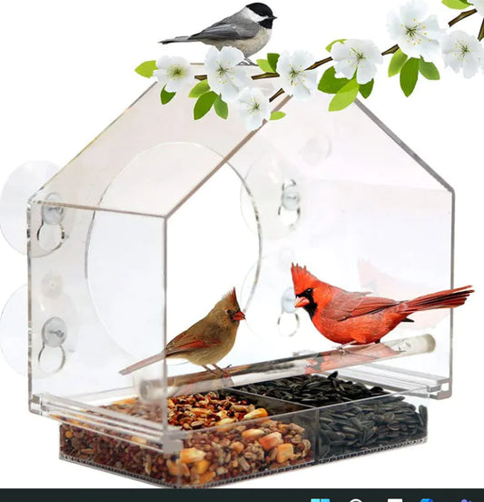 ClearNest Acrylic Bird Feeder