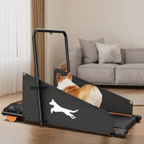 FitPaws Dog Treadmill