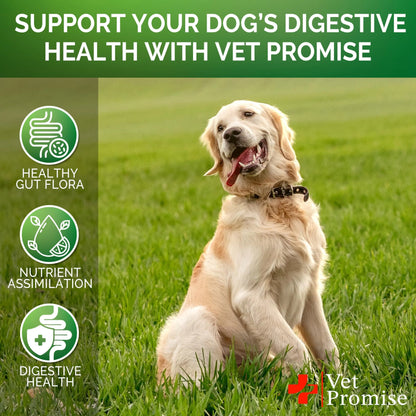 PawHealth Probiotic Chews