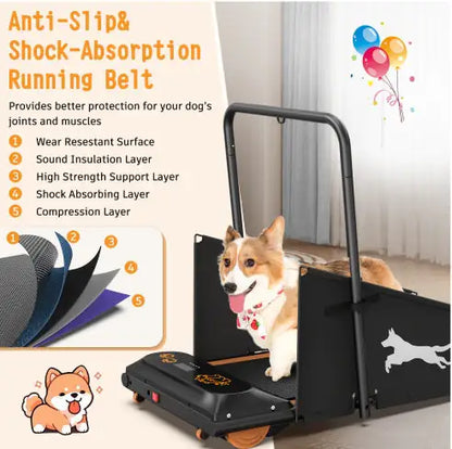 FitPaws Dog Treadmill