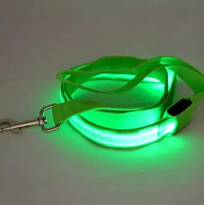 GlowPaw Leash