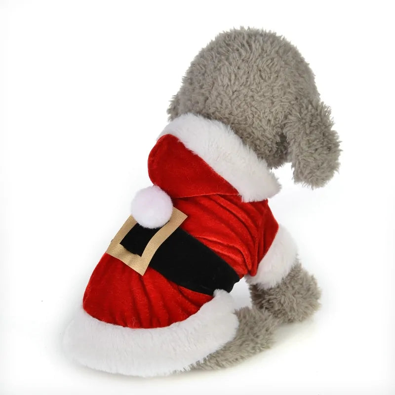 Santa Paws Pet Costume