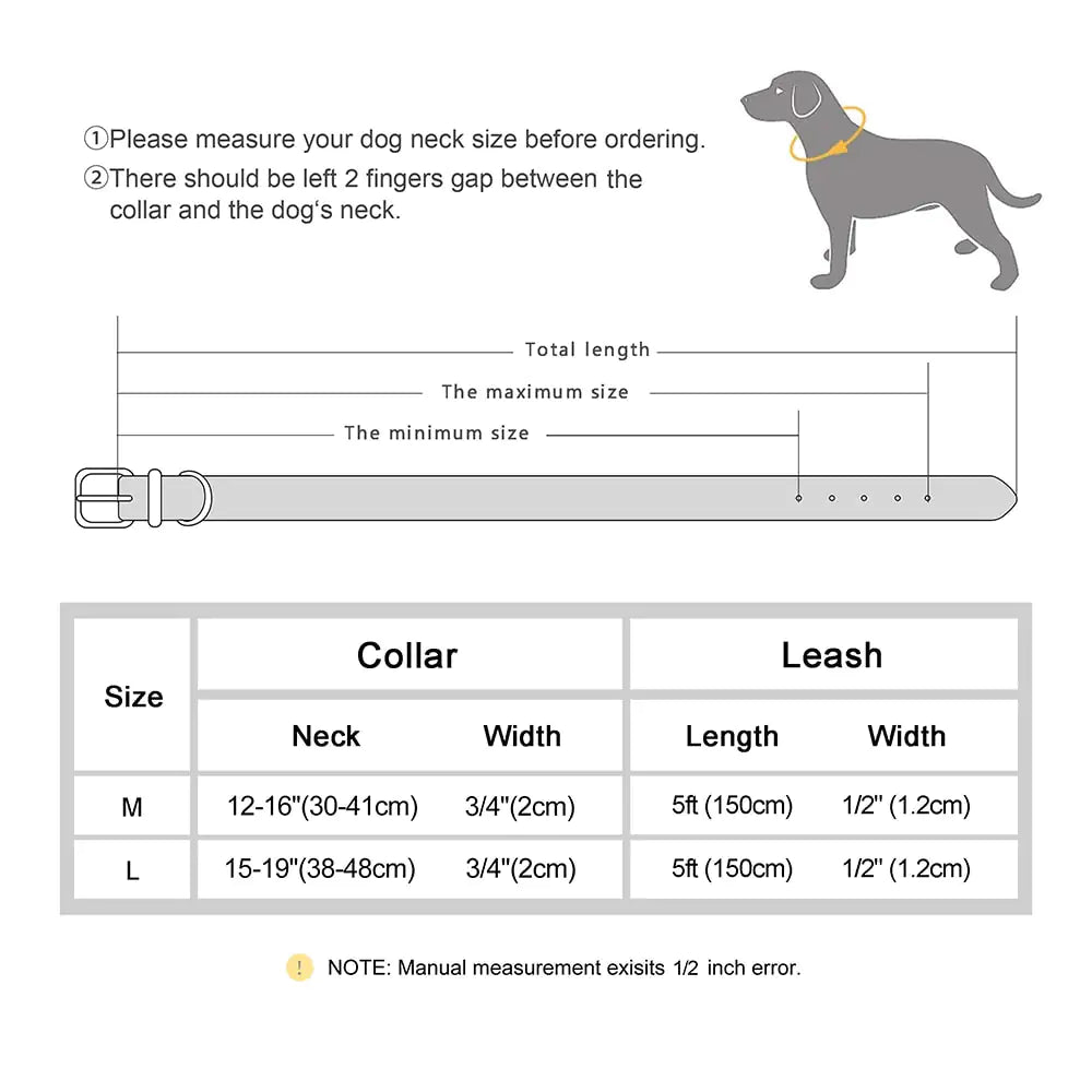 SwiftStyle Leather-Like Quick Release Collar and Leash Set