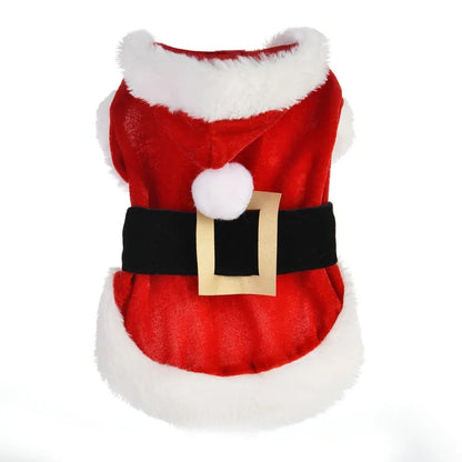 Santa Paws Pet Costume