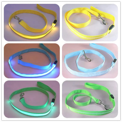 GlowPaw Leash