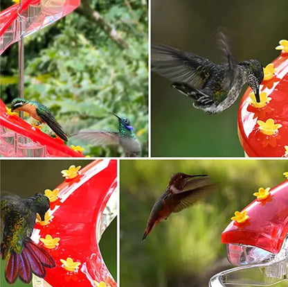 Helix Harmony Hummingbird Feeder