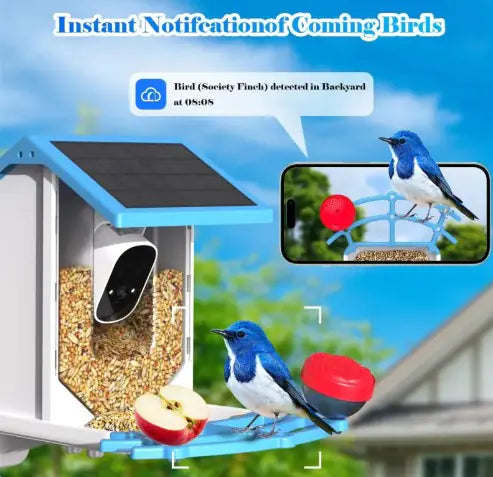 SunView Smart Solar Bird Feeder