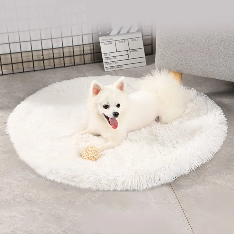 Paws & Whiskers Plush Comfort Dog Mat