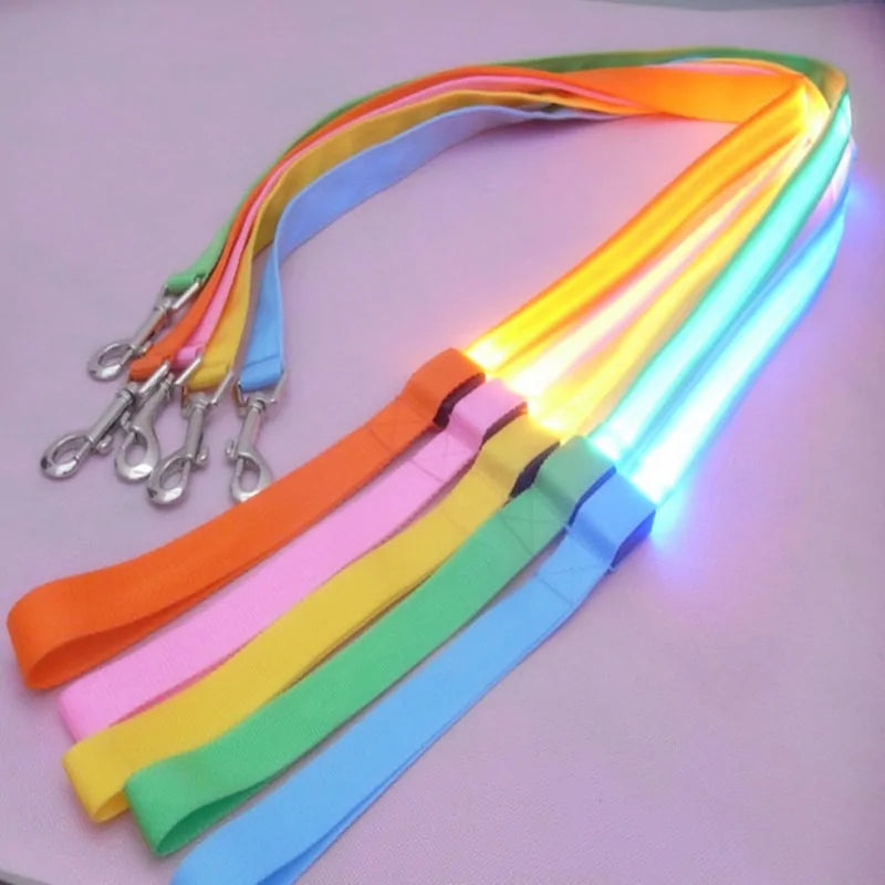 GlowPaw Leash