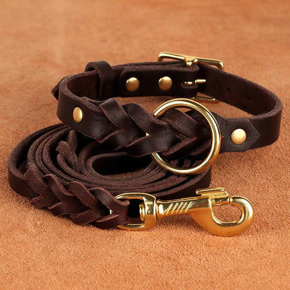 SwiftStyle Leather-Like Quick Release Collar and Leash Set