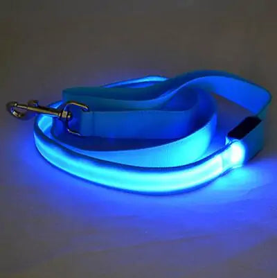 GlowPaw Leash