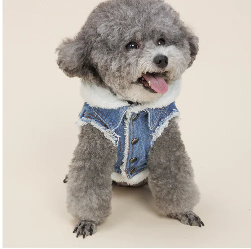 CozyChic Denim Pet Jackets