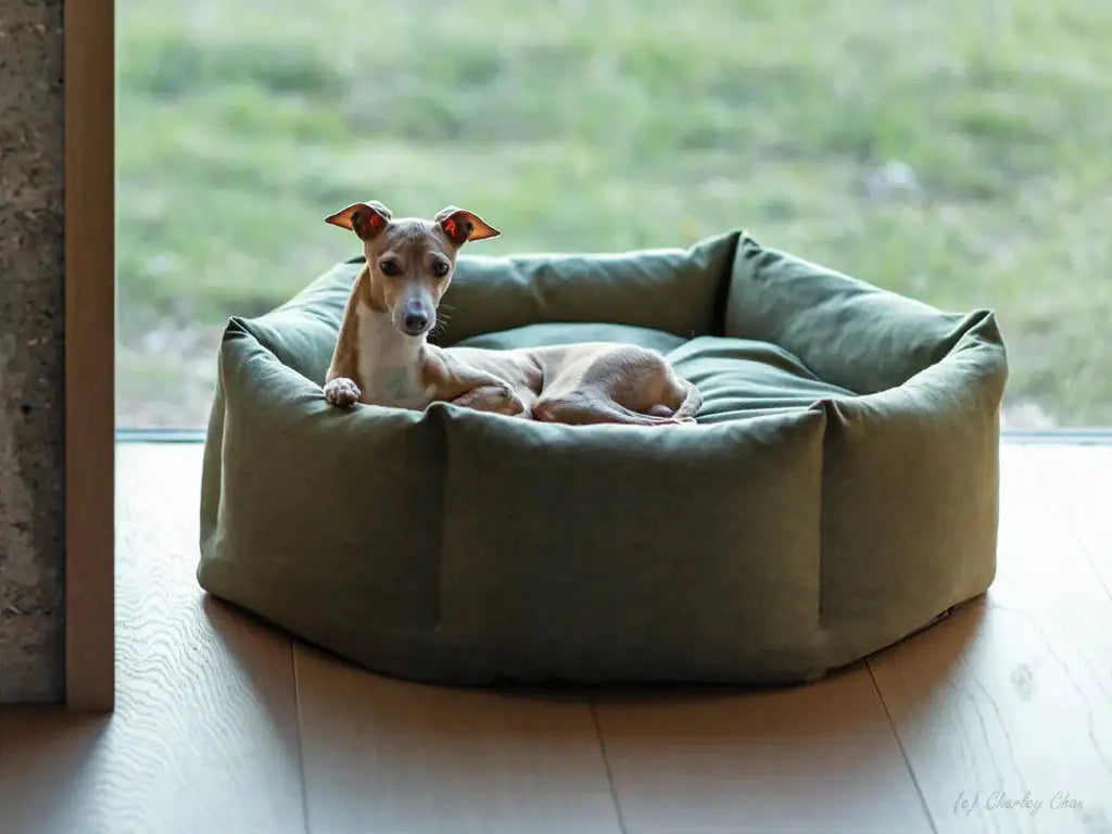 SnuggleNest Octagon Pet Bed