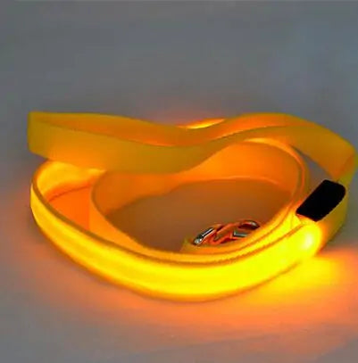 GlowPaw Leash