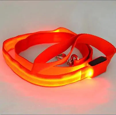 GlowPaw Leash