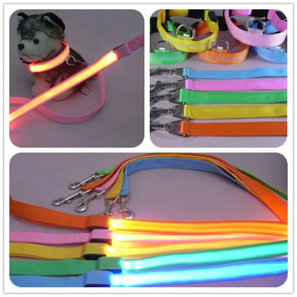 GlowPaw Leash