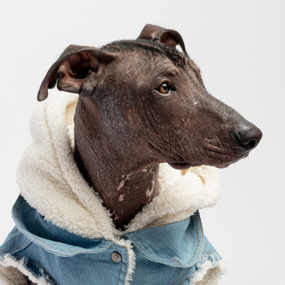 CozyChic Denim Pet Jackets