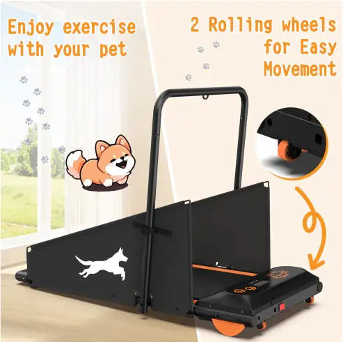 FitPaws Dog Treadmill