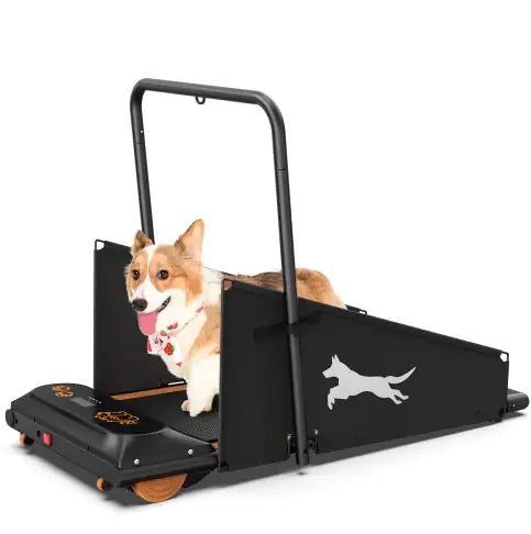 FitPaws Dog Treadmill