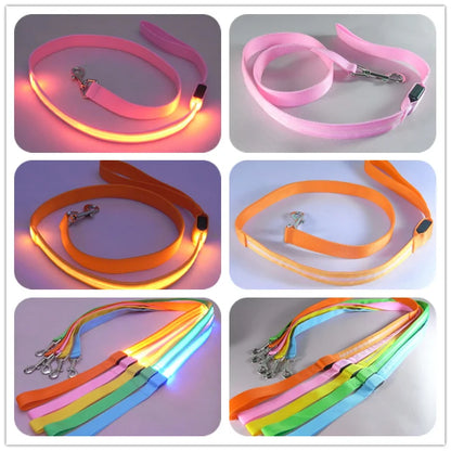 GlowPaw Leash