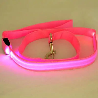 GlowPaw Leash