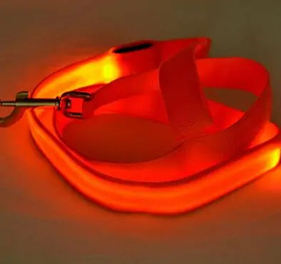 GlowPaw Leash