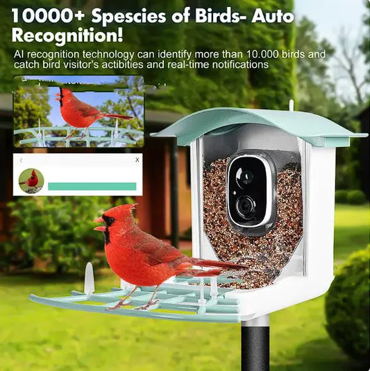 SunWatch Solar Bird Feeder with Camera